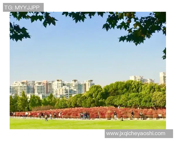 张昊:从平凡到卓越的奋斗历程与人生感悟分享 张昊:从平凡到卓越的奋斗历程与人生感悟分享